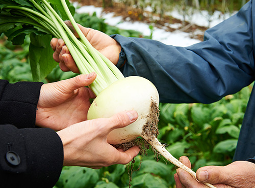 野菜アップ