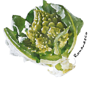 Romanesco